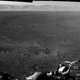 Illustration for article titled Curiosity Opens Her Eyes for the First Time (Updated With Panorama Images)